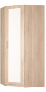 Шкаф распашной угловой Реал (YR-230х1034 (3)-М Вар.1), с зеркалом в Новом Уренгое