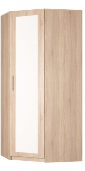 Шкаф распашной угловой Реал (YR-230х1034 (3)-М Вар.1), с зеркалом в Губкинском - изображение