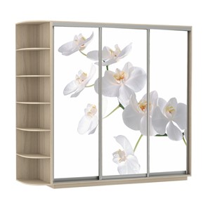 Шкаф Экспресс со стеллажом, 2100х600х2200, Орхидея белая/шимо светлый в Муравленко