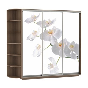 Шкаф 3-х створчатый Экспресс со стеллажом, 2100х600х2200, Орхидея белая/шимо темный в Салехарде - предосмотр