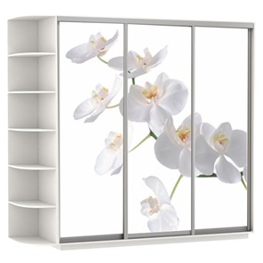 Шкаф 3-створчатый Экспресс со стеллажом, 2400х600х2200, Орхидея белая/белый снег в Салехарде
