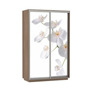 Шкаф 2-дверный Экспресс 1600x600x2400, Орхидея белая/шимо темный в Салехарде