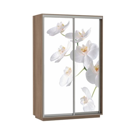 Шкаф 2-дверный Экспресс 1600x600x2400, Орхидея белая/шимо темный в Салехарде - изображение