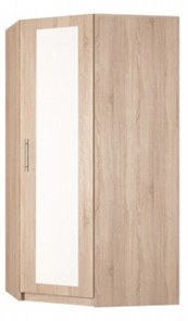 Угловой шкаф распашной Реал (YR-198х1034 (7)-М, Вар.4), с зеркалом в Новом Уренгое