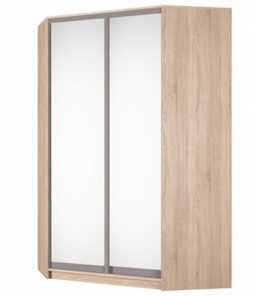 Шкаф угловой Аларти (YA-230х1400(602) (10) Вар. 4; двери D5+D5), с зеркалом в Салехарде