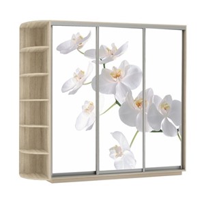 Шкаф 3-х дверный Экспресс со стеллажом, 2700х600х2200, Орхидея белая/дуб сонома в Салехарде - предосмотр