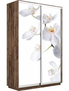 Шкаф 2-дверный Экспресс 1200x450x2200, Орхидея белая/дуб табачный в Салехарде - предосмотр