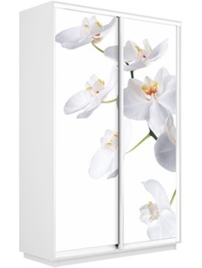 Шкаф 2-створчатый Экспресс 1200x450x2400, Орхидея белая/белый снег в Салехарде - предосмотр