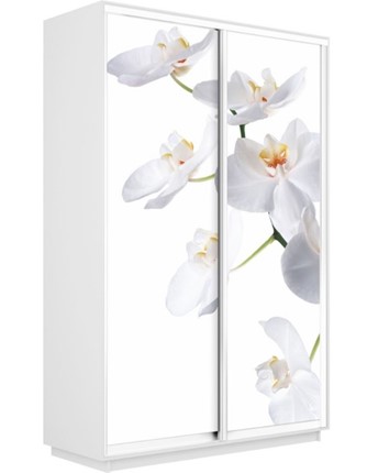 Шкаф Экспресс 1200x600x2200, Орхидея белая/белый снег в Салехарде - изображение