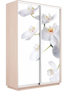 Шкаф Экспресс 1200x600x2200, Орхидея белая/дуб молочный в Новом Уренгое