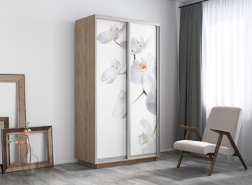 Шкаф 2-х дверный Экспресс 1200x600x2200, Орхидея белая/дуб сонома в Салехарде - предосмотр 3