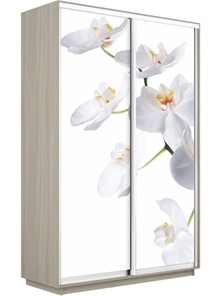 Шкаф 2-дверный Е1 Экспресс 1200x600x2200, Орхидея белая/шимо светлый в Салехарде