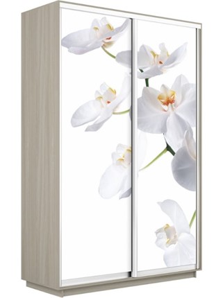 Шкаф Экспресс 1200x600x2400, Орхидея белая/шимо светлый в Салехарде - изображение