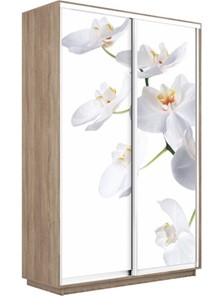 Шкаф 2-х створчатый Экспресс 1400x600x2200, Орхидея белая/дуб сонома в Салехарде