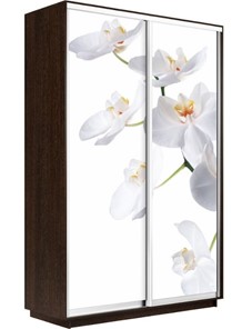 Шкаф 2-створчатый Экспресс 1400x600x2400, Орхидея белая/венге в Ноябрьске