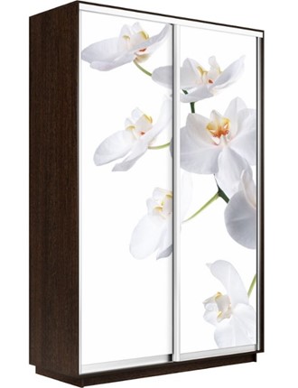 Шкаф 2-створчатый Экспресс 1400x600x2400, Орхидея белая/венге в Лабытнанги - изображение