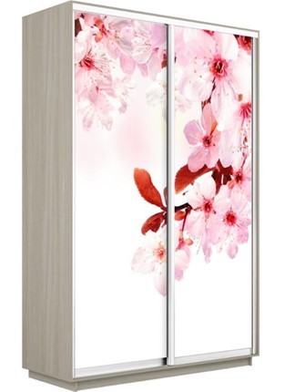 Шкаф 2-х дверный Экспресс 1600x600x2200, Сакура/шимо светлый в Салехарде - изображение