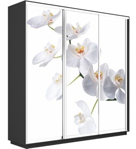 Шкаф 3-х створчатый Экспресс 1800х450х2400, Орхидея белая/серый диамант в Салехарде