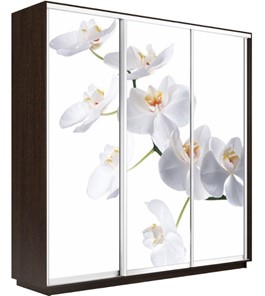 Шкаф 3-створчатый Экспресс 1800х450х2400, Орхидея белая/венге в Салехарде