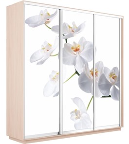Шкаф 3-створчатый Экспресс 1800х600х2200, Орхидея белая/дуб молочный в Салехарде