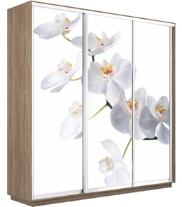 Шкаф 3-х створчатый Экспресс 1800х600х2200, Орхидея белая/дуб сонома в Салехарде - предосмотр