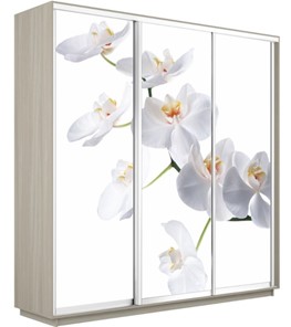 Шкаф 3-дверный Экспресс 1800х600х2200, Орхидея белая/шимо светлый в Губкинском