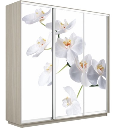 Шкаф 3-дверный Экспресс 1800х600х2200, Орхидея белая/шимо светлый в Салехарде - изображение