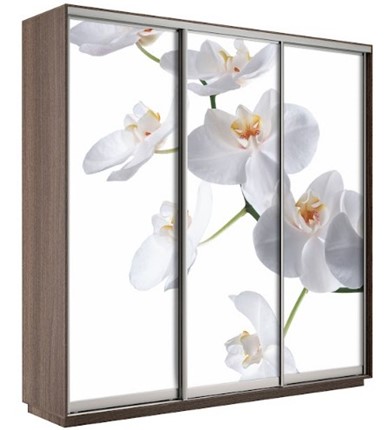 Шкаф 3-дверный Экспресс 1800х600х2400, Орхидея белая/шимо темный в Салехарде - изображение