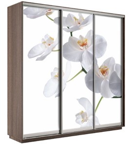 Шкаф 3-створчатый Е1 Экспресс 2100х600х2400, Орхидея белая/шимо темный в Салехарде