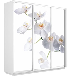 Шкаф 3-створчатый Экспресс 2400х450х2400, Орхидея белая/белый снег в Салехарде - предосмотр