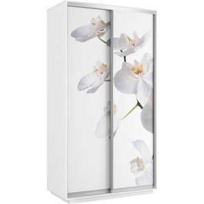Шкаф Хит 1200x600x2200, белая орхидея, белый снег в Лабытнанги