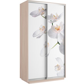 Шкаф 2-створчатый Хит 1200x600x2200, белая орхидея, дуб молочный в Салехарде - предосмотр