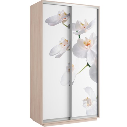 Шкаф 2-створчатый Хит 1200x600x2200, белая орхидея, дуб молочный в Салехарде - изображение