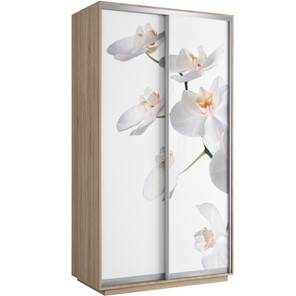 Шкаф 2-створчатый Хит 1200x600x2200, белая орхидея, дуб сонома в Салехарде - предосмотр