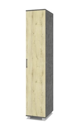 Одностворчатый шкаф Е-11, Камень темный/Ирландский дуб в Новом Уренгое - изображение