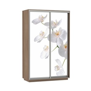 Шкаф 2-х створчатый Экспресс 1200x600x2400, Орхидея белая/шимо темный в Салехарде