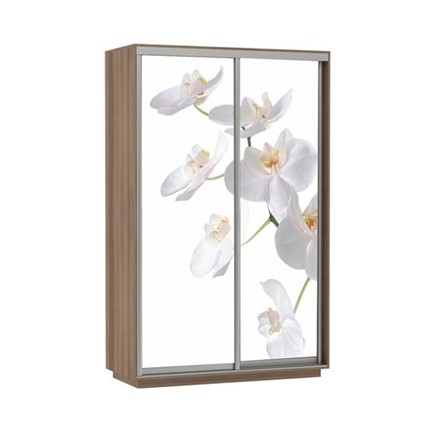 Шкаф 2-х створчатый Экспресс 1200x600x2400, Орхидея белая/шимо темный в Салехарде - изображение