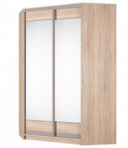 Угловой шкаф Аларти (YA-230х1400(602) (4) Вар. 3; двери D2+D2), с зеркалом в Надыме