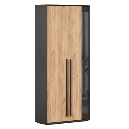 Шкаф для прихожей 2-дверный Неаполь ЛД.134050.000 (Черный/Дуб Золотой) в Ноябрьске - изображение