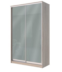 Шкаф 2-х створчатый Хит-22-12-22 с цветным стеклом, средне-серый 074, Дуб сонома в Салехарде - предосмотр