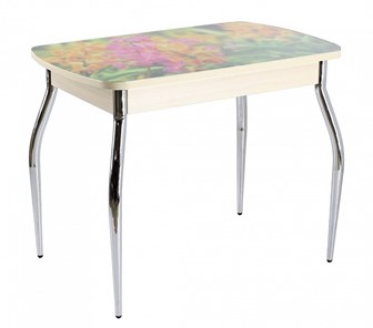 Кухонный стол раскладной ПГ мини СТФ, дуб молочный лдсп/луговые цветы/35 хром гнутые в Надыме