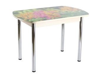 Кухонный стол раскладной ПГ-01 СТФ, дуб молочный ЛДСП/луговые цветы/39 прямые трубы хром в Салехарде