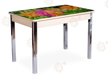 Кухонный стол раздвижной Айсберг-02 СТФ, Дуб ЛДСП/полевые цветы/ноги хром квадратные в Салехарде