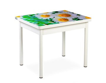 Кухонный пристенный стол СПА-01 СТФ, белый/фотопечать ромашки/опоры прямые белые в Лабытнанги