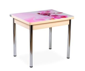 Кухонный пристенный стол СПА-01 СТФ, молочный дуб/фотопечать орхидея/опоры прямые хром в Надыме