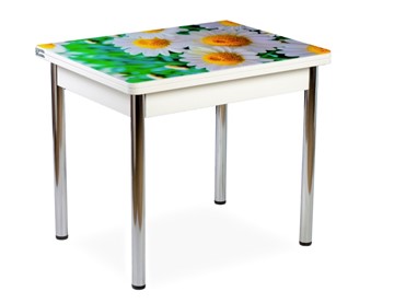 Кухонный пристенный стол СПА-02 СТФ, белый/фотопечать ромашки/опоры хром в Салехарде