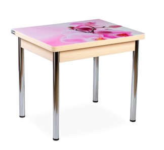 Кухонный пристенный стол СПА-02 СТФ, молочный дуб/фотопечать орхидея/опоры хром в Губкинском
