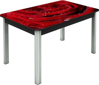 Кухонный стол раскладной Гамбург исп. Мини, ноги метал. крашеные №23, Фотопечать (Цветы №39) в Салехарде