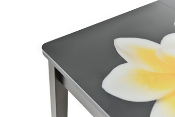 Кухонный стол раздвижной Гамбург исп. Мини, ноги метал. крашеные №23, Фотопечать (Текстура №70) в Салехарде - предосмотр 9