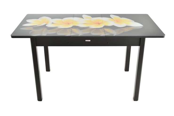 Кухонный раскладной стол Гамбург исп.2 ноги метал. крашеные №23, Фотопечать (Цветы №28) в Салехарде - изображение 7